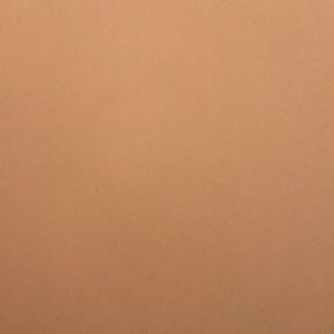 Meet your Posher, Coya